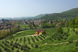 Italy wine tours - Franciacorta dreamstime_s_Franciacorta_landscape