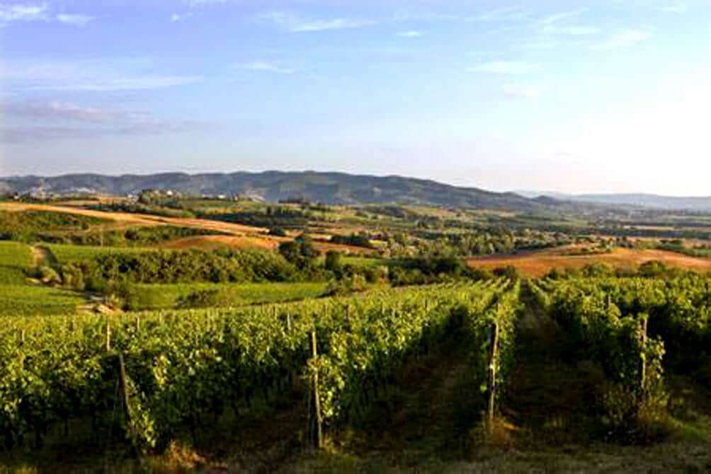 Lungarotti vineyards Best museums in Italy