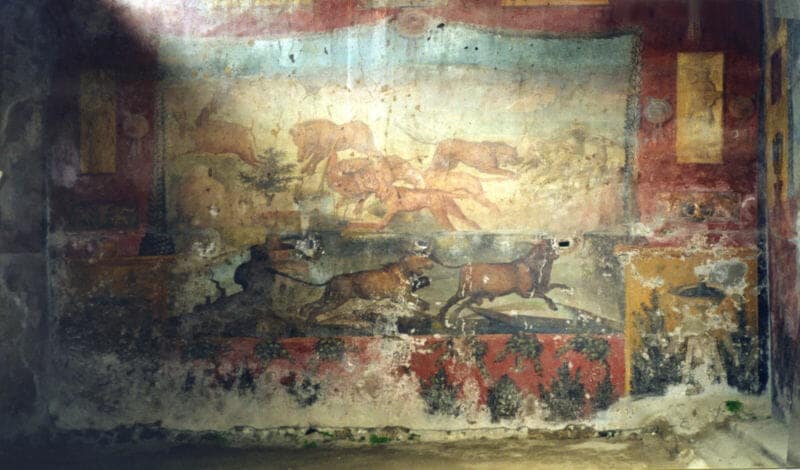 Live at Pompeii