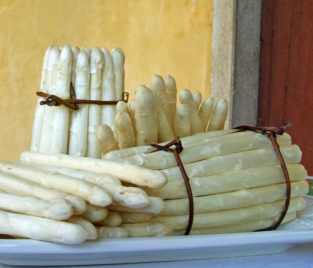 White asparagus of Bassano