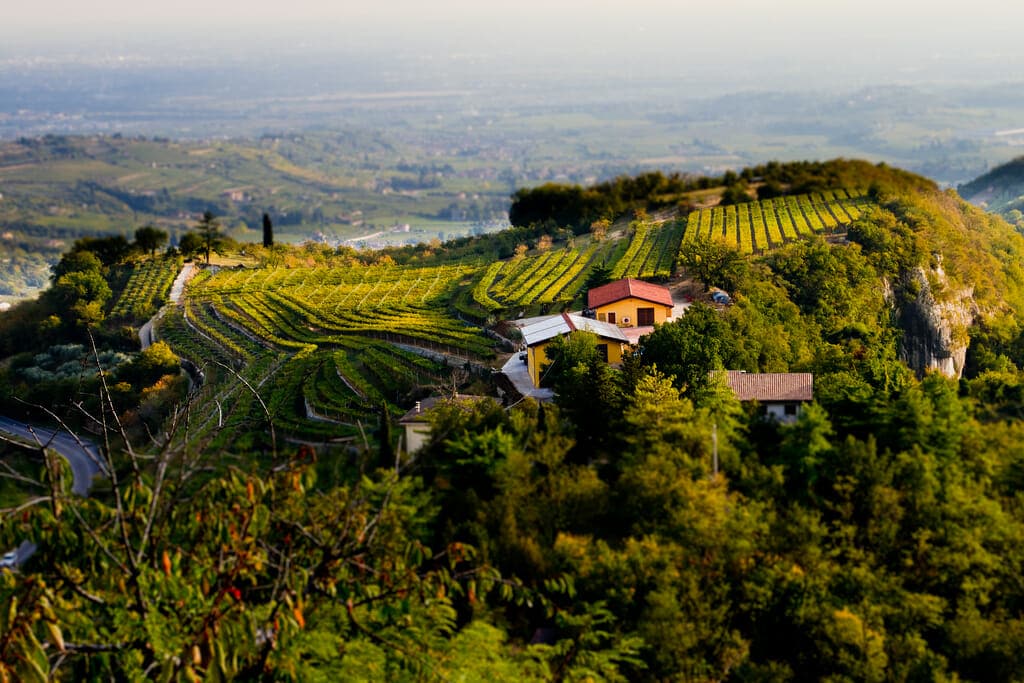 Valpolicella vineyards Italy Honeymoon Packages Valpolicella